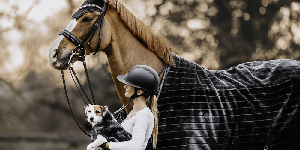 En pige står med en hund i armene viden siden af en stor, brun hest.